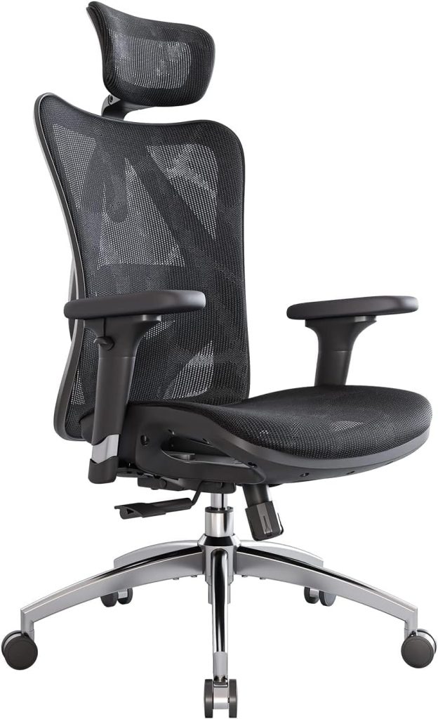 Black ergonomic mesh office chair styled with a gray desk, triptych wall art, wooden bookcase, plant, and neutral home office decor.